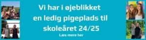 Es ledige pladser